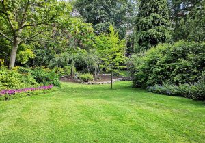 Optimiser l'expérience du jardin à Crosey-le-Grand